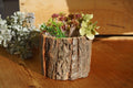 Wood Bark Faux Planter Decor, Decorative Divider