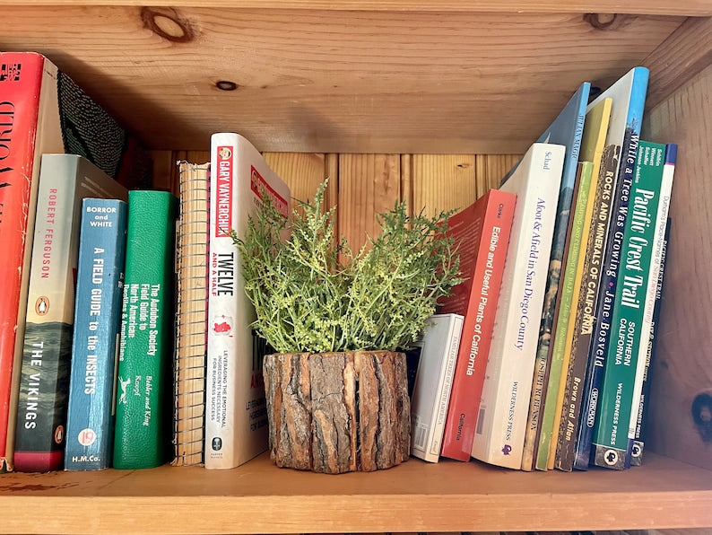 Wood Bark Faux Planter Decor, Decorative Divider