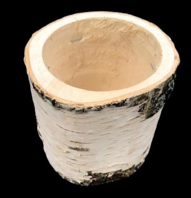 Birch Wood Planter – Natural Wooden Flower Pot Rustic Decor (8 cm / 12 cm) Handmade Wood Cup